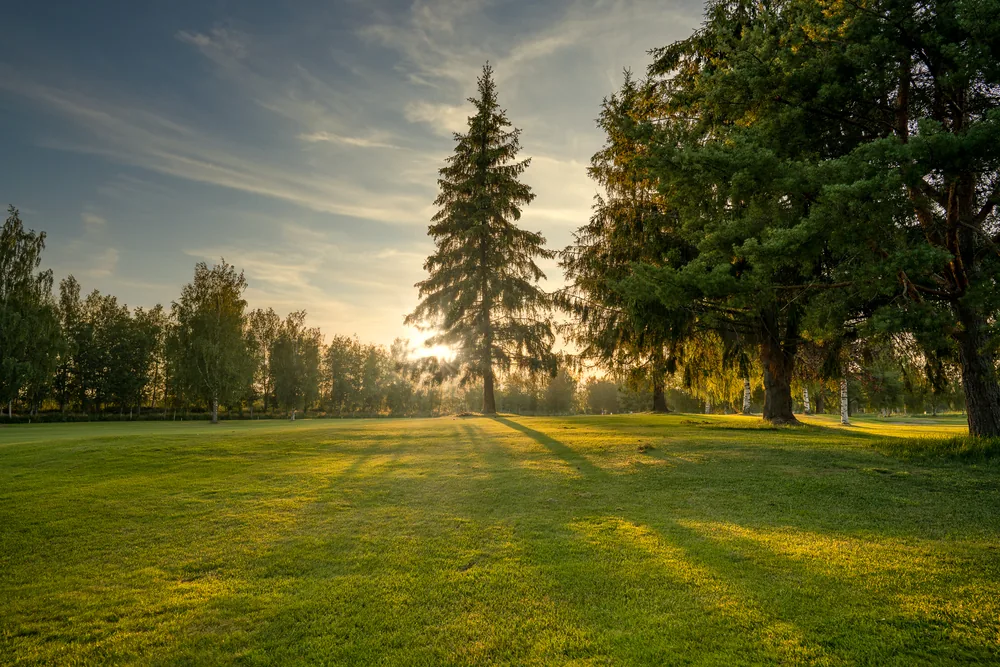 Kalafornia Golfin väylä iltavalossa